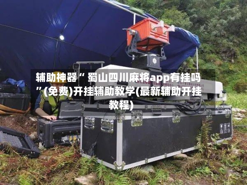 辅助神器“ 蜀山四川麻将app有挂吗”(免费)开挂辅助教学(最新辅助开挂教程)-第2张图片