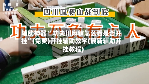 辅助神器“ 功夫川麻辅怎么看是否开挂”(免费)开挂辅助教学(最新辅助开挂教程)-第3张图片