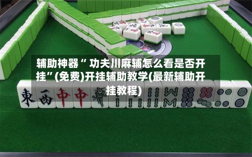 辅助神器“ 功夫川麻辅怎么看是否开挂	”(免费)开挂辅助教学(最新辅助开挂教程)-第2张图片