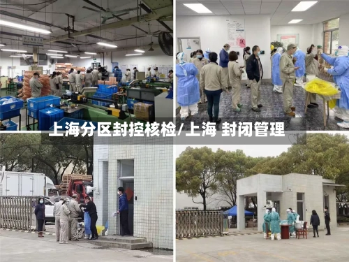 上海分区封控核检/上海 封闭管理