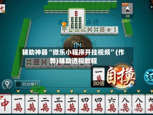辅助神器“微乐小程序开挂视频”(作弊)辅助透视教程-第3张图片