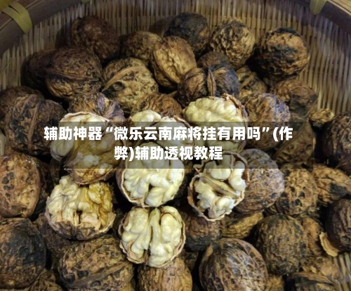 辅助神器“微乐云南麻将挂有用吗”(作弊)辅助透视教程