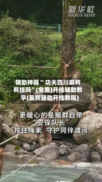 辅助神器“ 功夫四川麻将有挂吗”(免费)开挂辅助教学(最新辅助开挂教程)-第2张图片