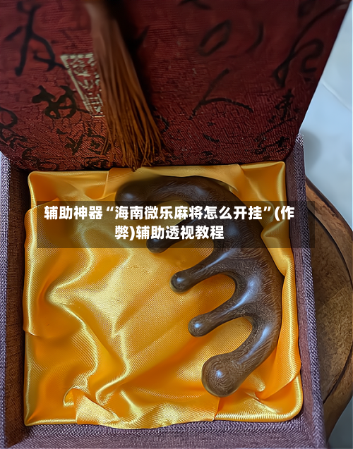 辅助神器“海南微乐麻将怎么开挂”(作弊)辅助透视教程-第2张图片