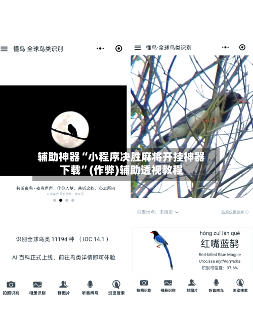 辅助神器“小程序决胜麻将开挂神器下载”(作弊)辅助透视教程