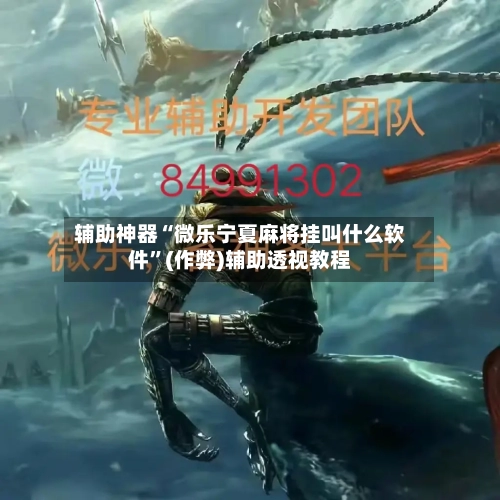 辅助神器“微乐宁夏麻将挂叫什么软件”(作弊)辅助透视教程-第2张图片