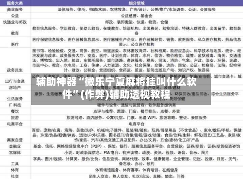 辅助神器“微乐宁夏麻将挂叫什么软件”(作弊)辅助透视教程-第3张图片