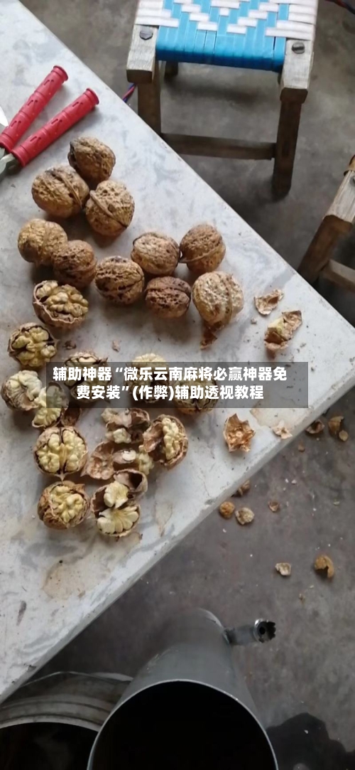 辅助神器“微乐云南麻将必赢神器免费安装”(作弊)辅助透视教程