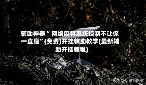辅助神器“ 网络麻将系统控制不让你一直赢	”(免费)开挂辅助教学(最新辅助开挂教程)-第3张图片