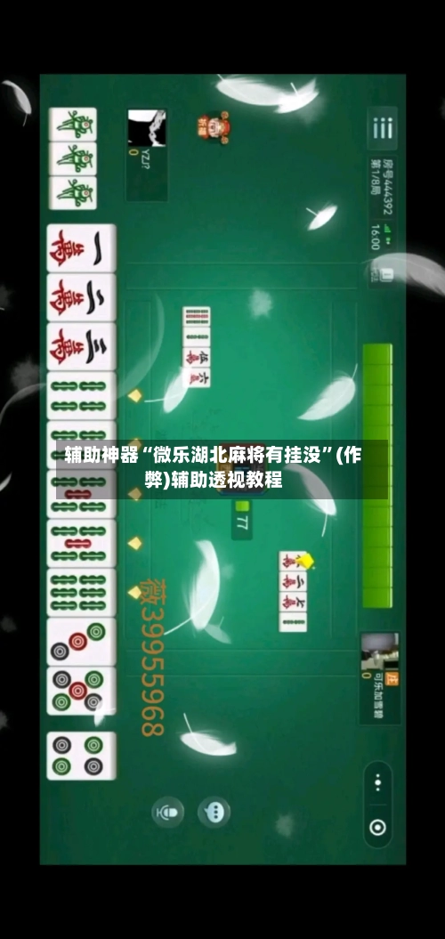 辅助神器“微乐湖北麻将有挂没”(作弊)辅助透视教程-第2张图片