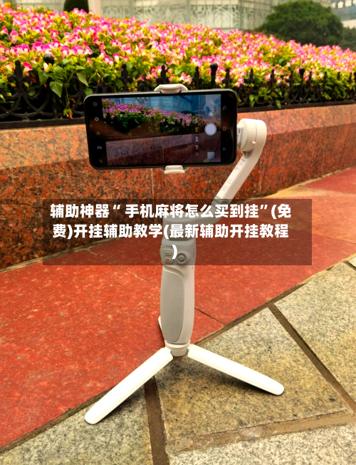辅助神器“ 手机麻将怎么买到挂	”(免费)开挂辅助教学(最新辅助开挂教程)-第3张图片
