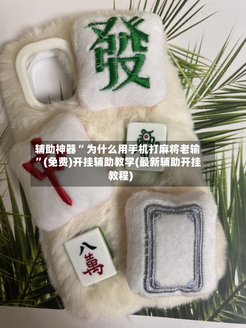 辅助神器“ 为什么用手机打麻将老输”(免费)开挂辅助教学(最新辅助开挂教程)-第2张图片