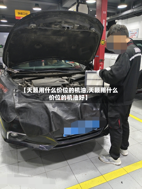 【天籁用什么价位的机油,天籁用什么价位的机油好】-第2张图片