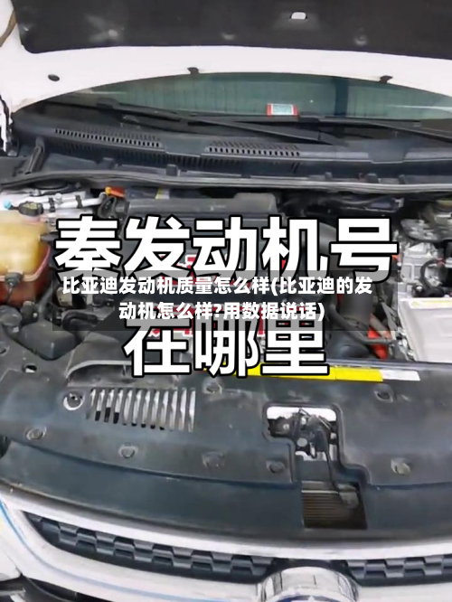 比亚迪发动机质量怎么样(比亚迪的发动机怎么样?用数据说话)-第2张图片