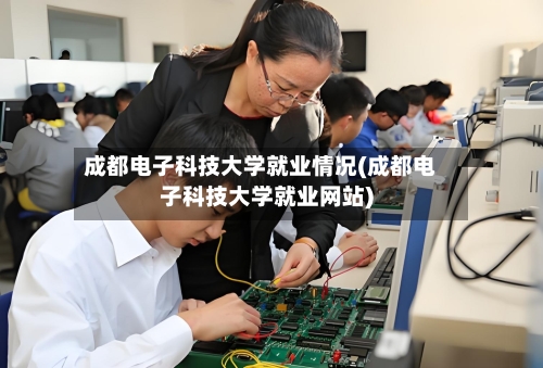 成都电子科技大学就业情况(成都电子科技大学就业网站)-第3张图片
