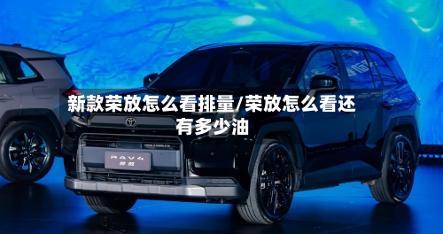 新款荣放怎么看排量/荣放怎么看还有多少油-第2张图片